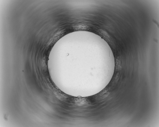 X0000101660377200807311441