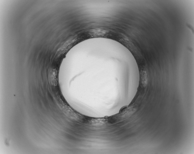 X0000101660378200807311441