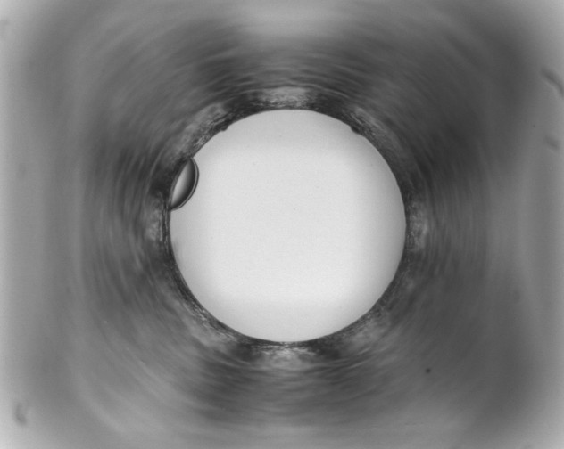 X0000101660379200807311441