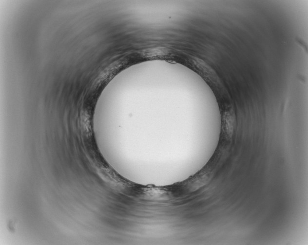 X0000101660380200807311441