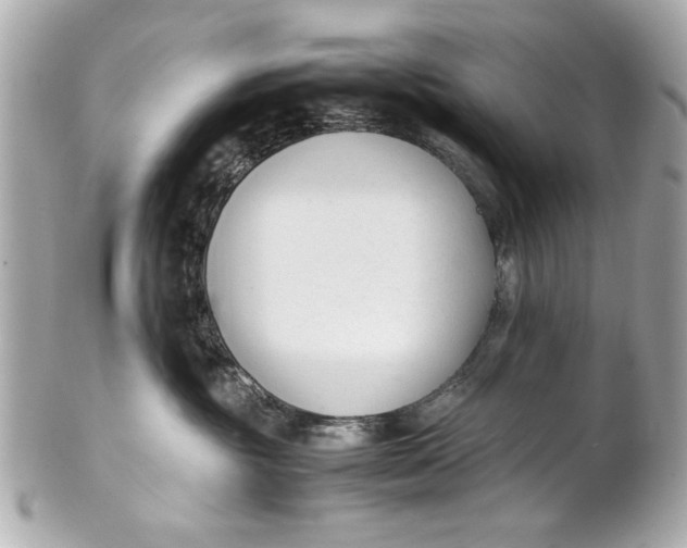 X0000101660381200807311441