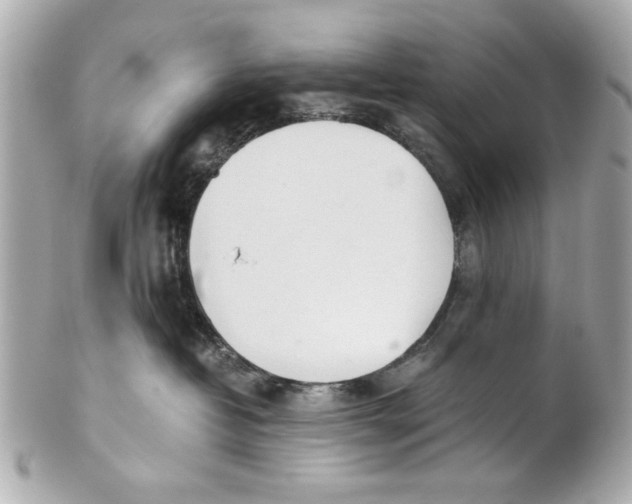 X0000101660382200807311441