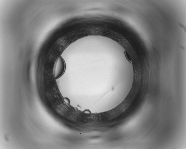 X0000101660383200807311441