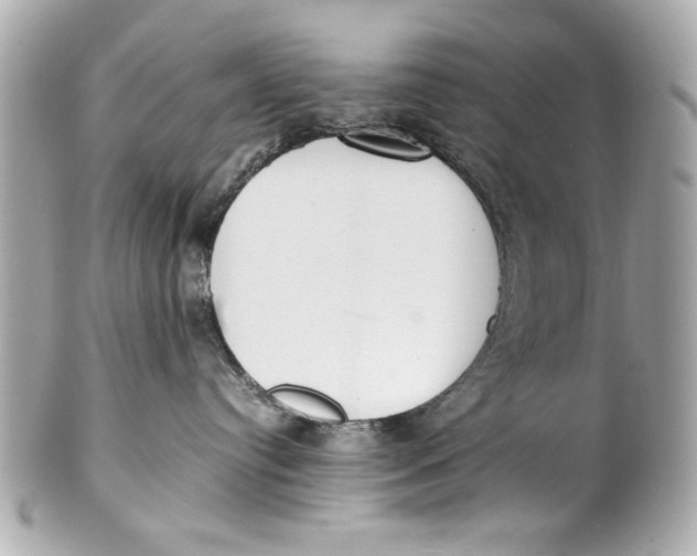 X0000101660384200807311441