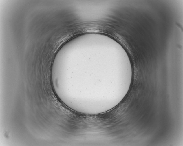 X0000101660385200807311440