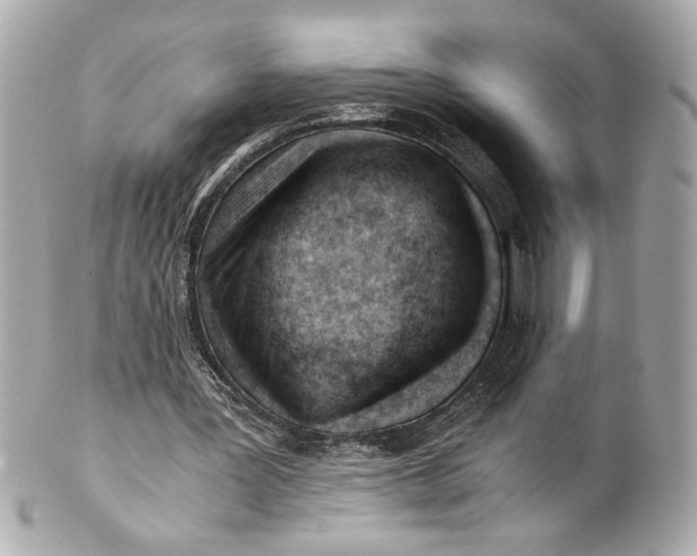 X0000101660387200807311440