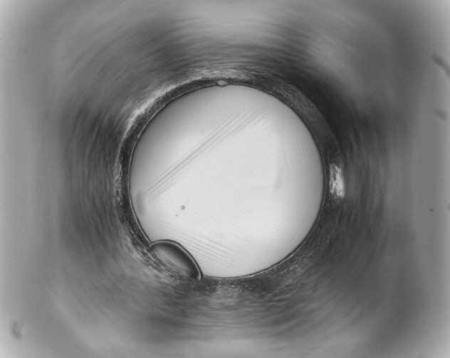 X0000101660388200807311440