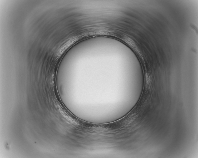 X0000101660389200807311440