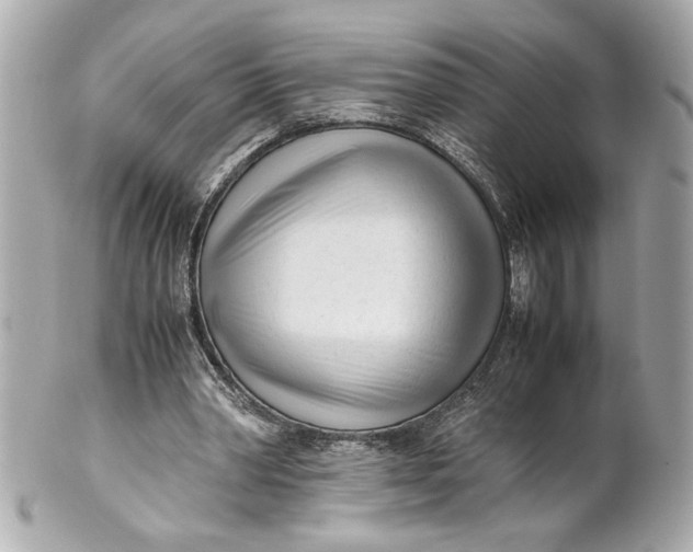 X0000101660390200807311440