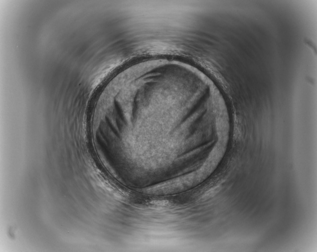 X0000101660391200807311440