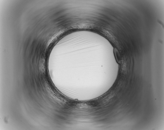 X0000101660392200807311440