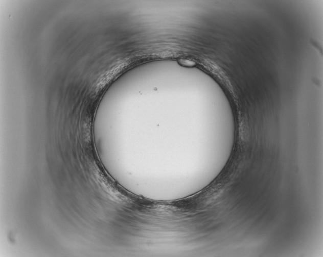 X0000101660393200807311440