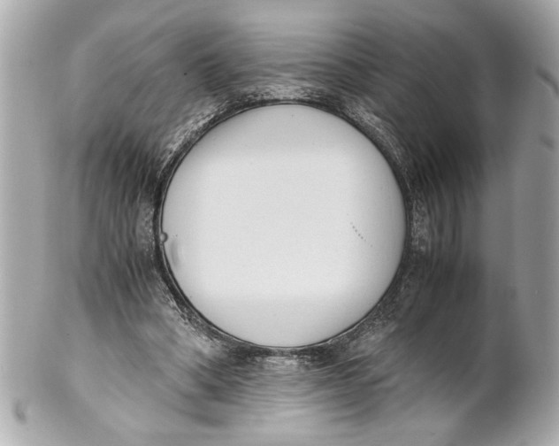 X0000101660394200807311440