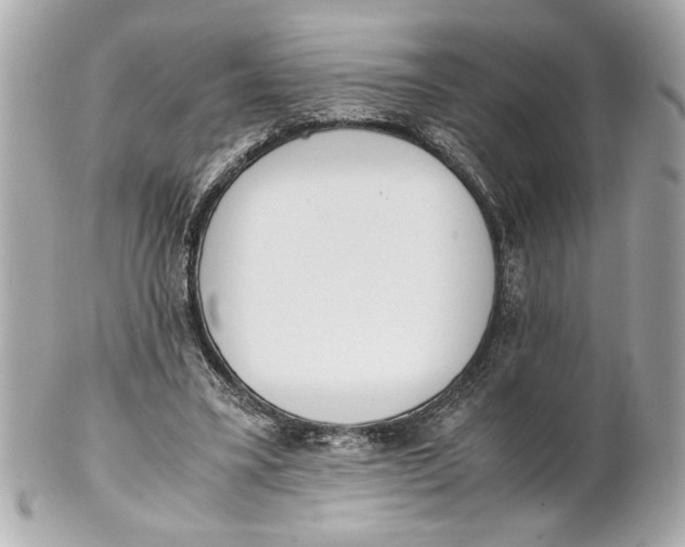 X0000101660395200807311440