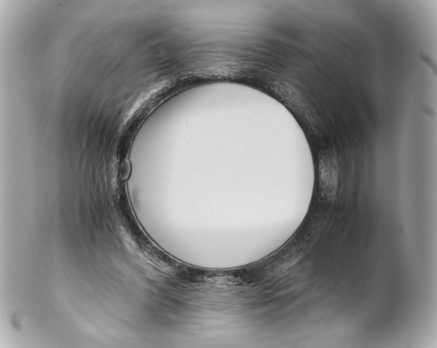 X0000101660396200807311440