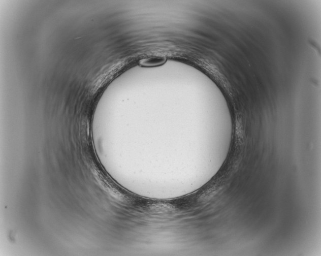 X0000101660397200807311440