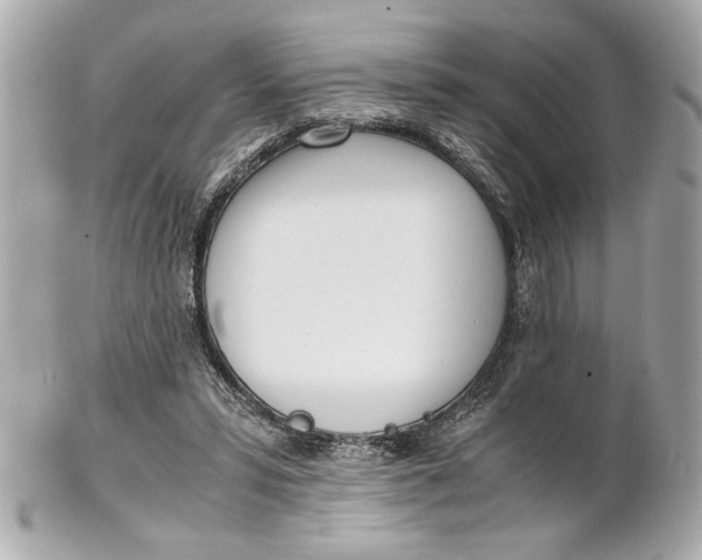 X0000101660399200807311440