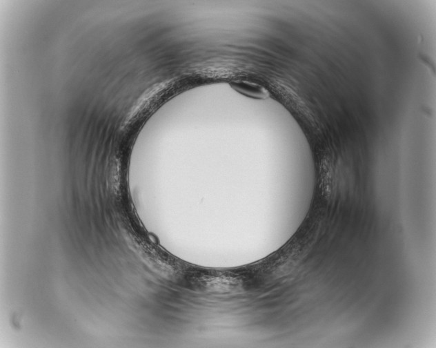 X0000101660400200807311440