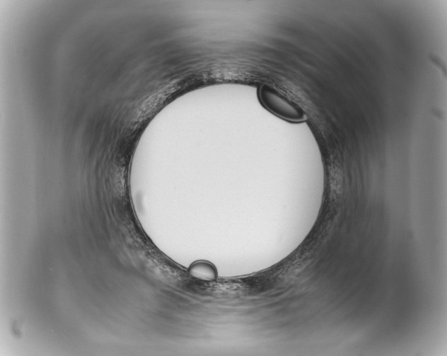 X0000101660401200807311440