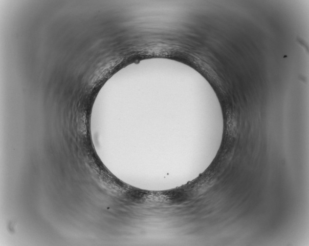 X0000101660403200807311440