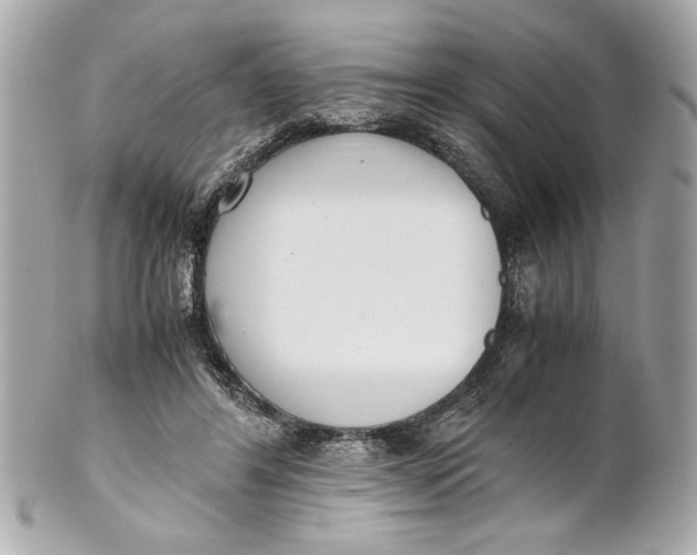 X0000101660404200807311440