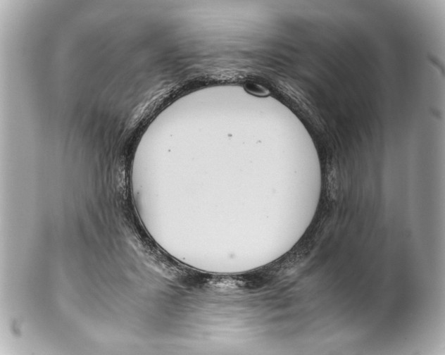 X0000101660407200807311440