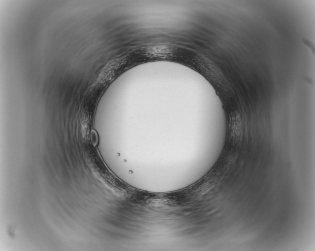 X0000101660408200807311440