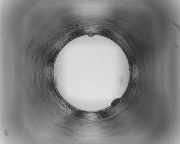 X0000101660409200807311440