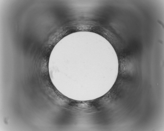 X0000101660411200807311440