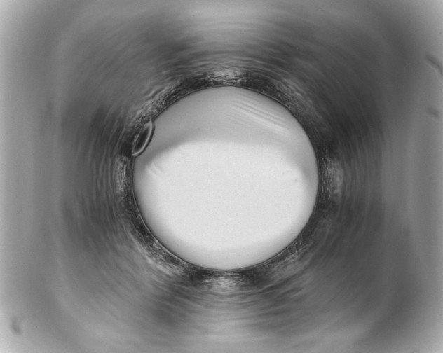 X0000101660412200807311440