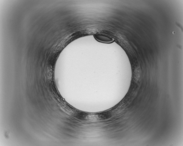 X0000101660413200807311440