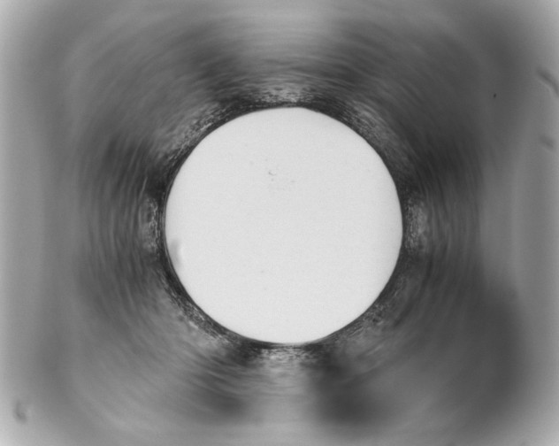 X0000101660414200807311440