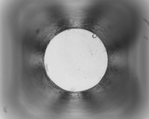 X0000101660415200807311440