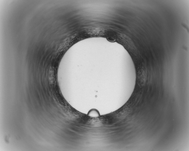 X0000101660416200807311440