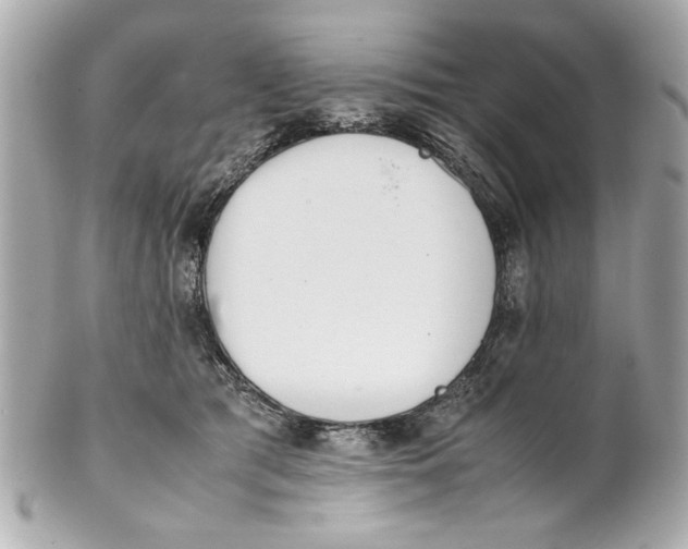 X0000101660417200807311439