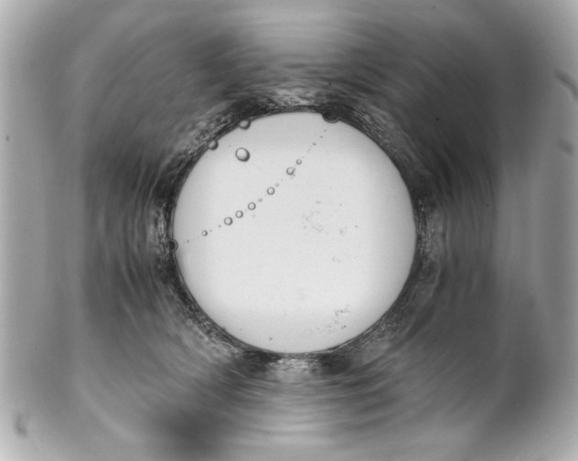 X0000101660418200807311439