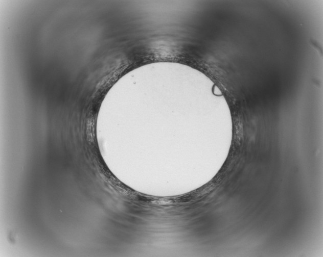 X0000101660419200807311439