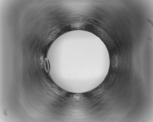 X0000101660420200807311439