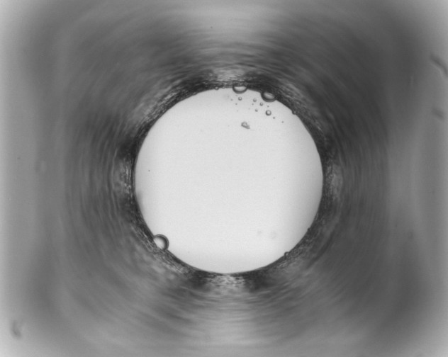 X0000101660421200807311439