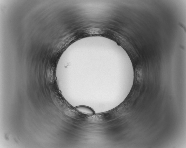 X0000101660422200807311439