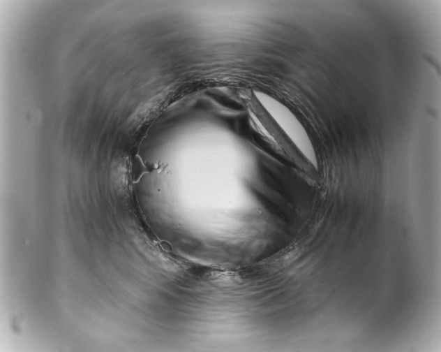 X0000101660424200807311439