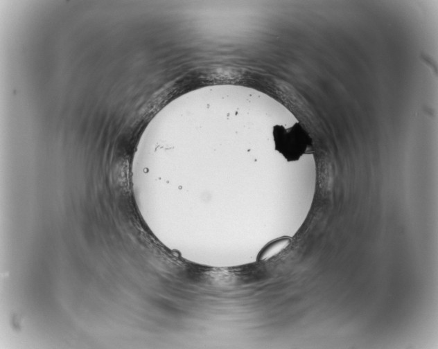 X0000101660425200807311439