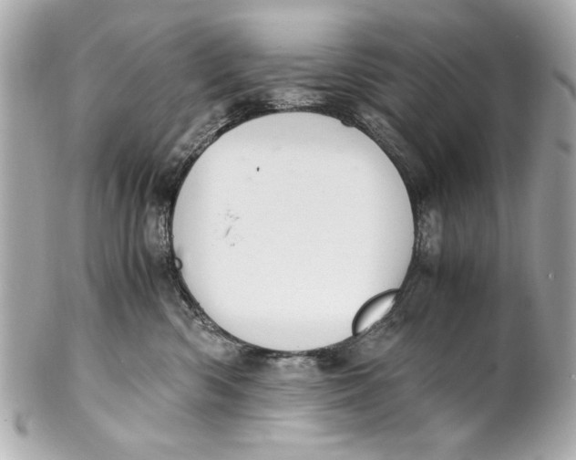 X0000101660426200807311439