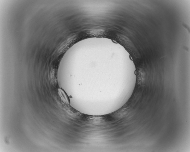 X0000101660428200807311439