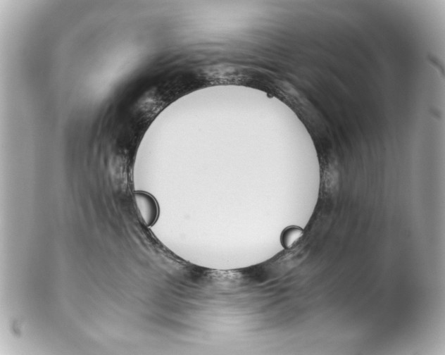 X0000101660429200807311439