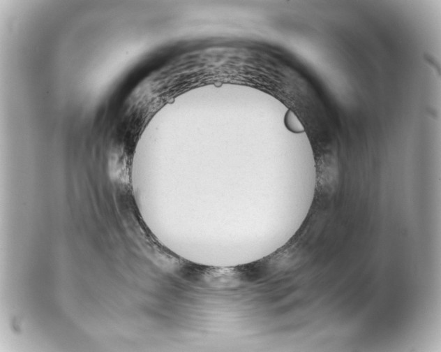 X0000101660431200807311439