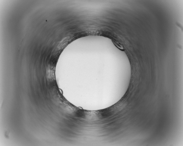 X0000101660432200807311439