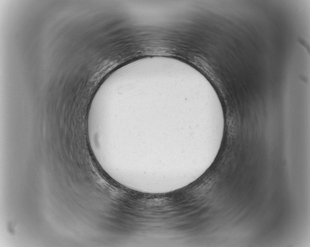 X0000101660433200807311439