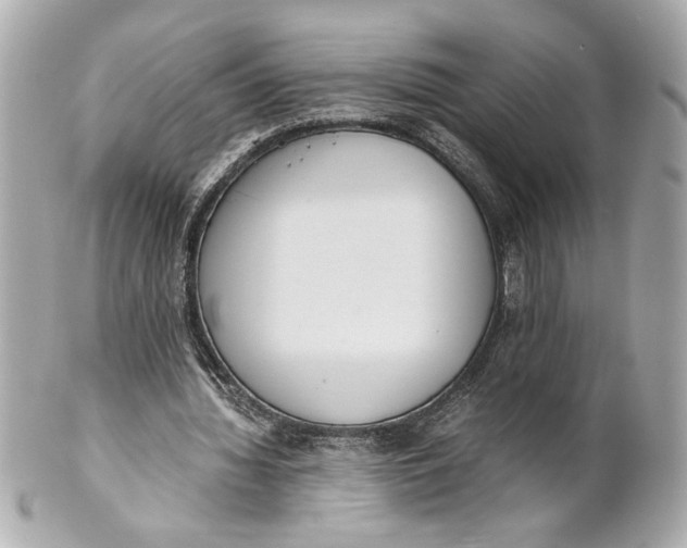 X0000101660436200807311439