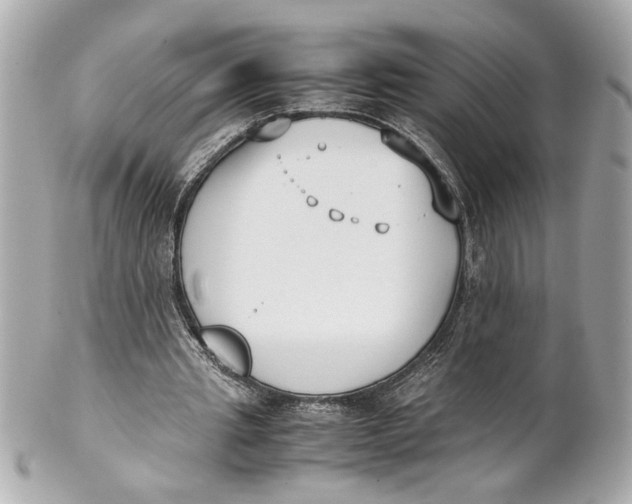 X0000101660437200807311439